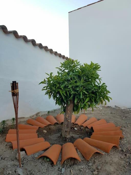 Casa Da Enxota Villa Povoa de Sao Miguel Exterior foto