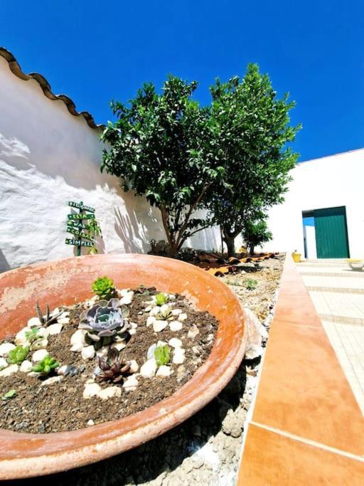 Casa Da Enxota Villa Povoa de Sao Miguel Exterior foto
